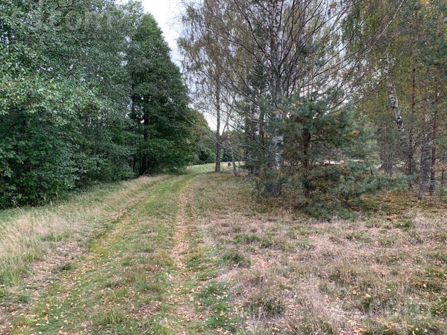 Buciņi, Lielirbe, Ventspils un raj., Tārgales pag. — zeme