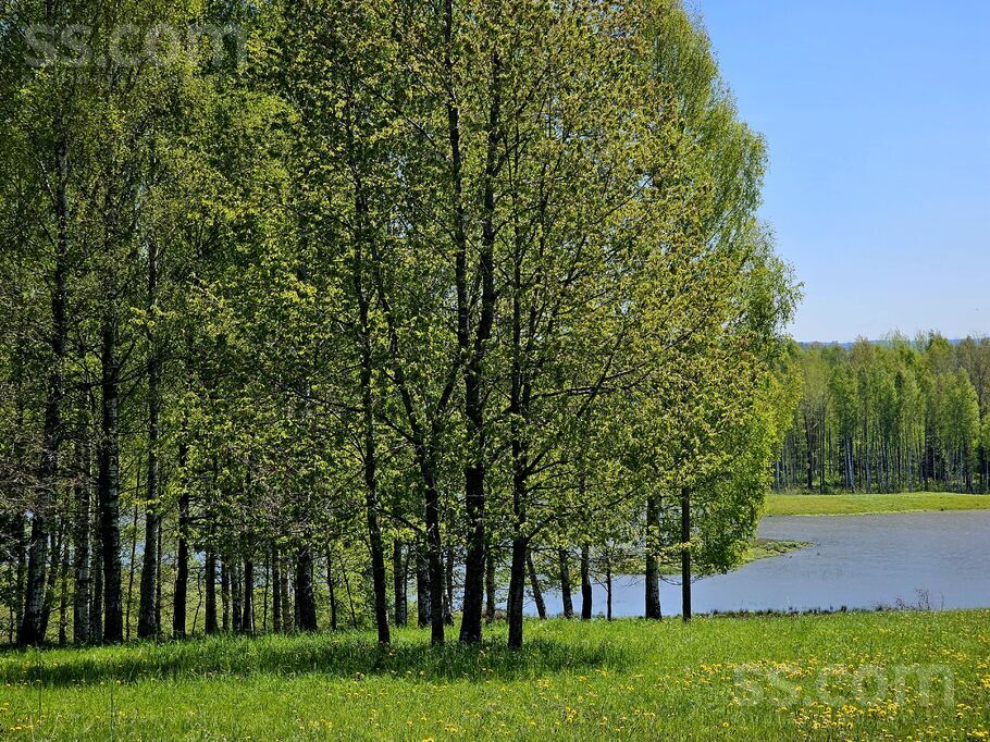 Kalnenieki, Tukums un raj., Pūres pag. — zeme