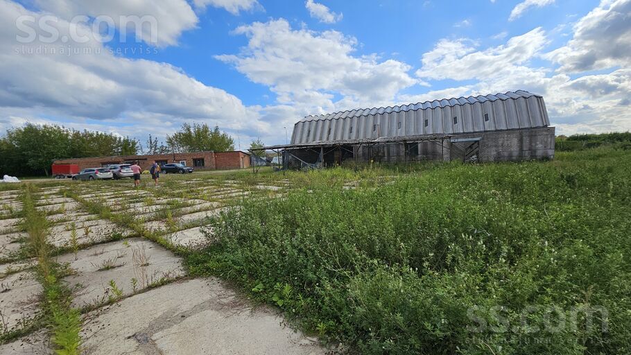 Peldu iela 1, Jelgava un raj., Jelgava — telpa