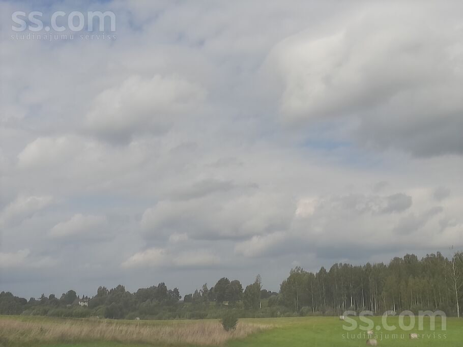 Ziedmalas,, Veclauki, Tukums un raj., Jaunpils pag. — zeme