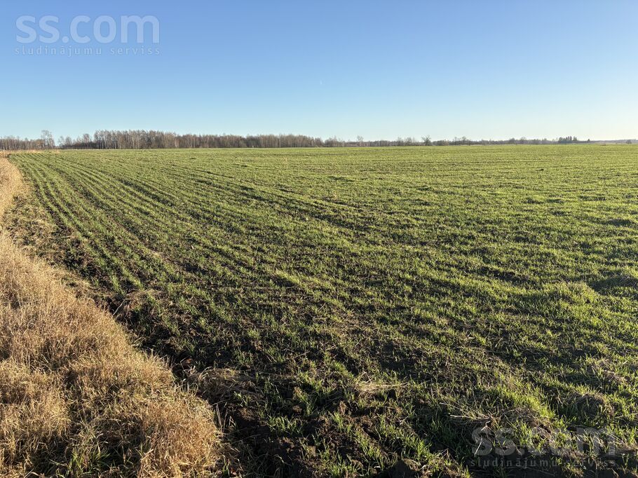 Žannas, Rosme, Bauska un raj., Iecavas nov. — zeme