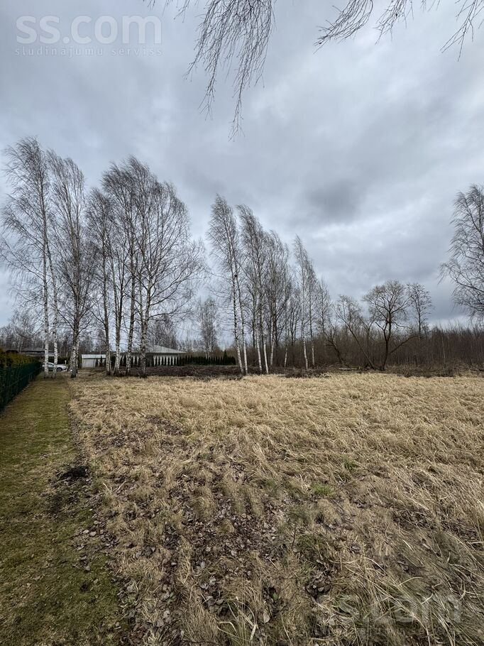 Mazais Rogu ceļš 14, Jelgava un raj., Jelgava — zeme