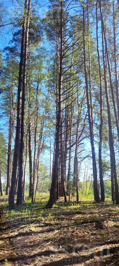 Samu līcis, Sandariški, Daugavpils un raj., Naujenes pag. — zeme