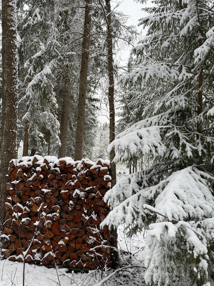 Priežu iela 16, Rīgas rajons, Baldone — maja