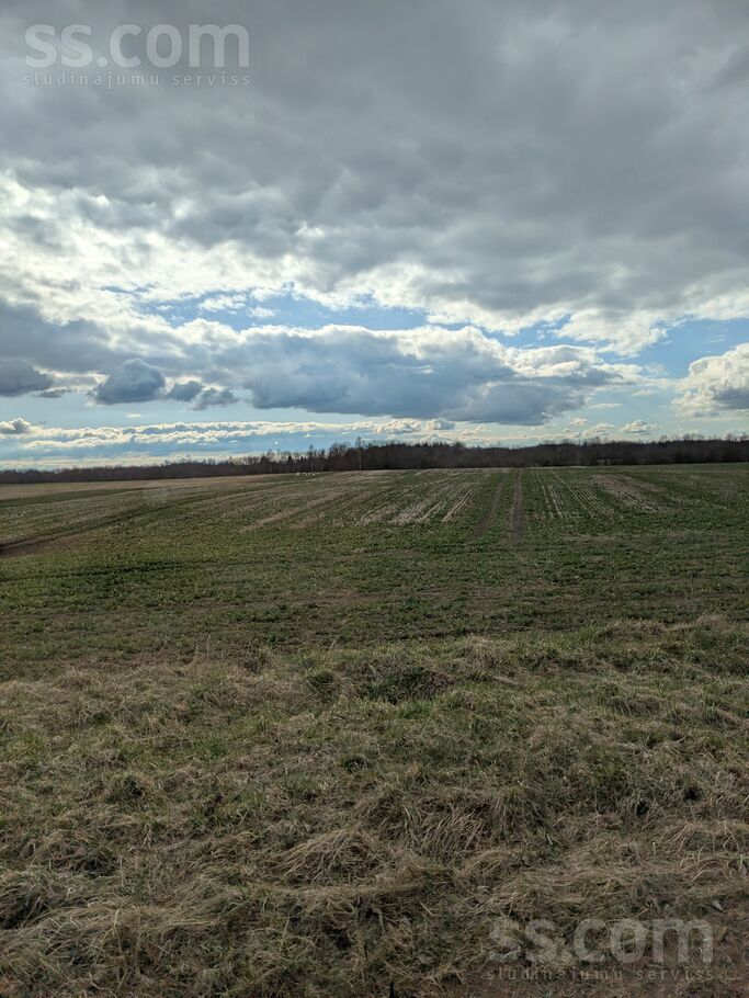 Ievinas 1, Markitanti, Daugavpils un raj., Maļinovas pag. — zeme