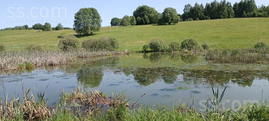 Miera iela, Prezma, Rēzekne un raj., Silmalas pag. — zeme