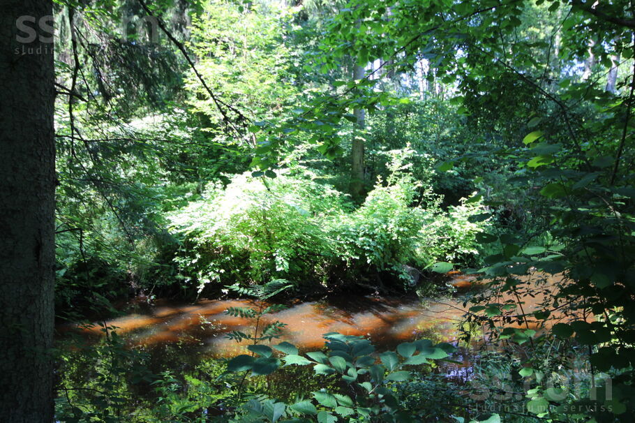 Upenieku 3, Rīgas rajons, Saulkrasti — zeme