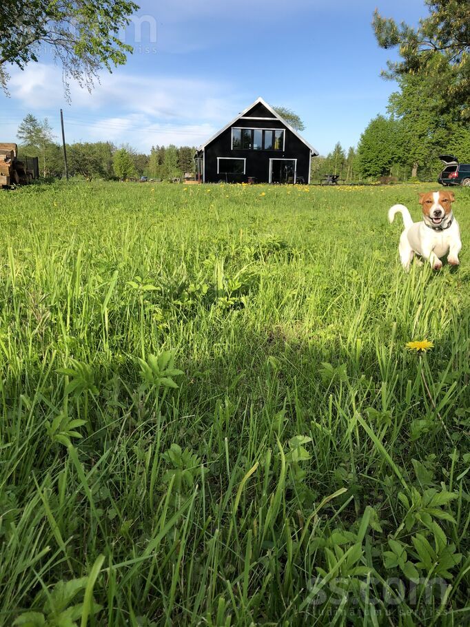 Rauza, Valka un raj., Palsmanes pag. — vienseta