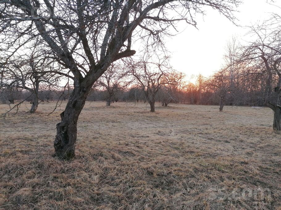 Randene, Randene, Daugavpils un raj., Kalkūnes pag. — zeme