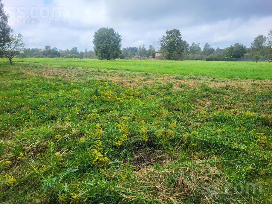 Priežu 5, Rīgas rajons, Sigulda — zeme