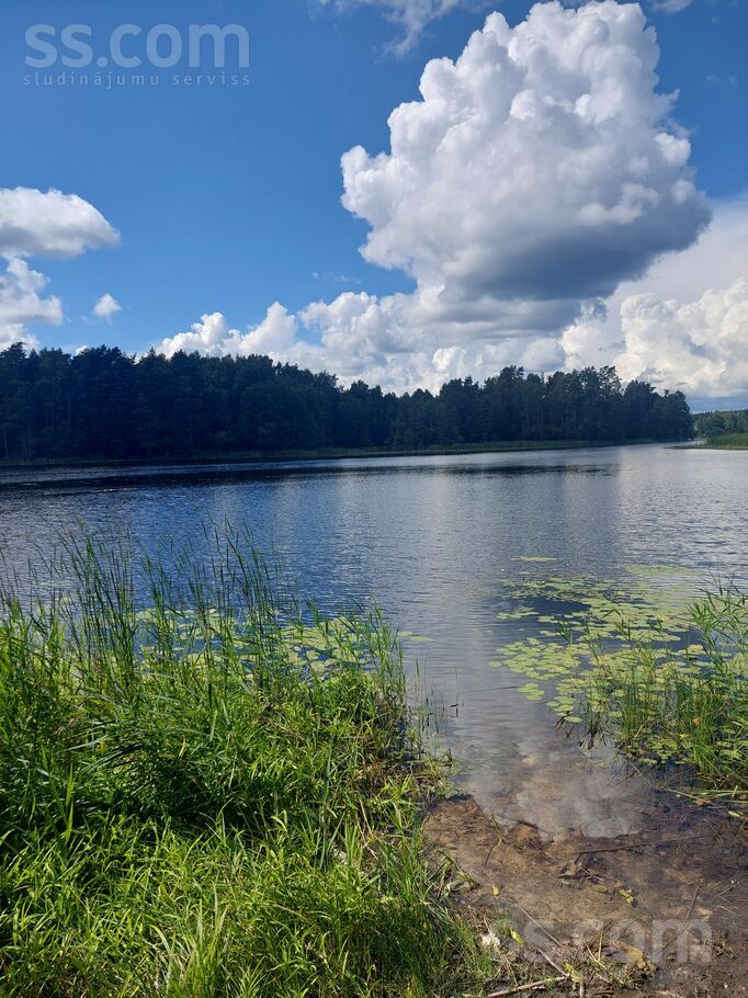B/n, Medumi, Daugavpils un raj., Medumu pag. — zeme