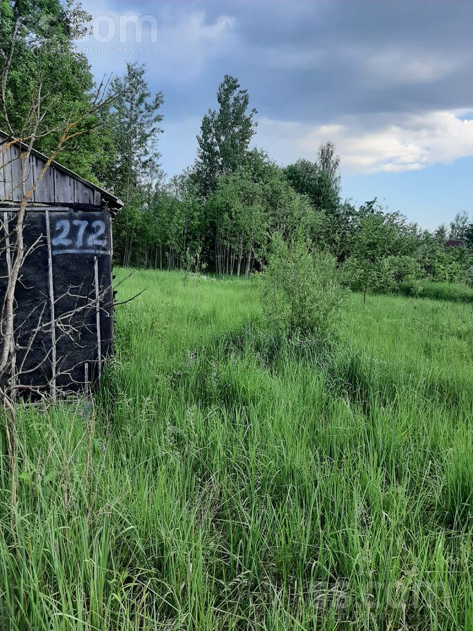 Daugava 272, Daugava, Daugavpils un raj., Kalkūnes pag. — zeme