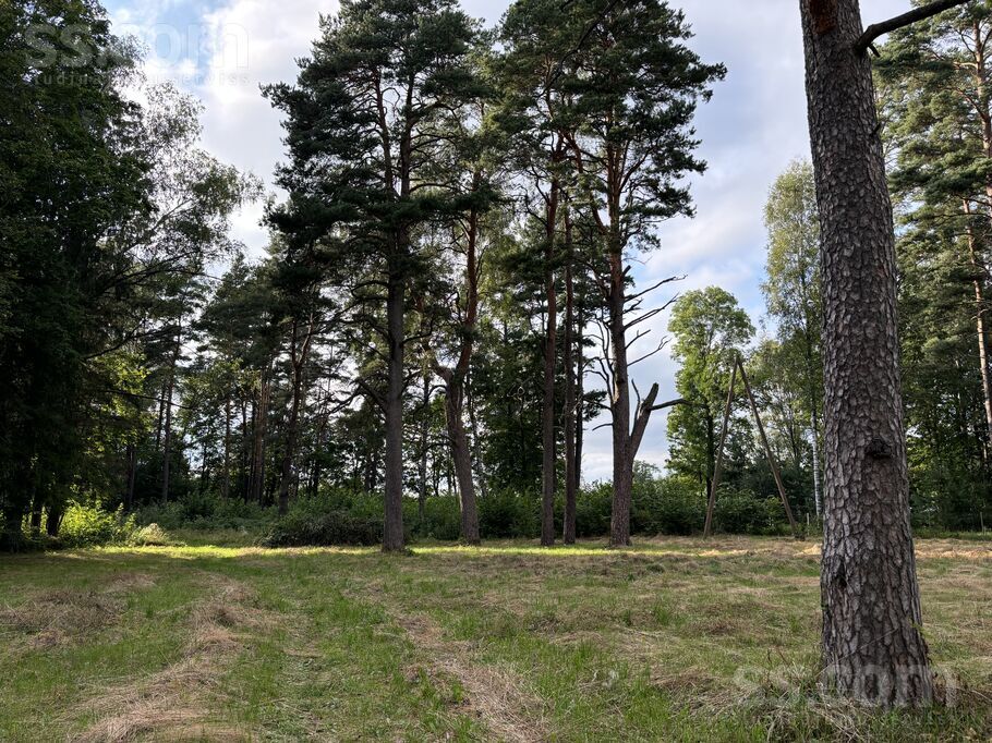 Kalna iela 62a, Skrīveri, Aizkraukle un raj., Skrīveru pag. — zeme