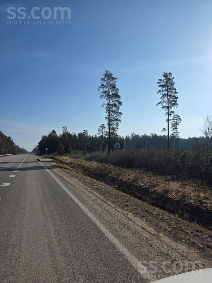 Ainas, Griķi, Rīgas rajons, Inčukalna nov. — maja