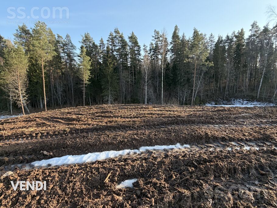Toma, Priekuļi, Cēsis un raj., Priekuļu pag. — zeme
