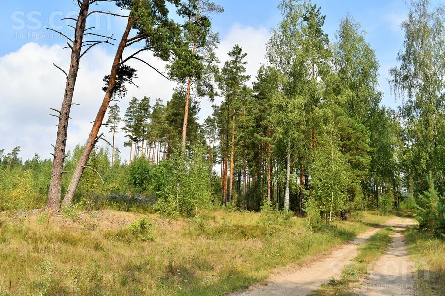 Kociņi, Kadaga, Rīgas rajons, Ādažu nov. — zeme