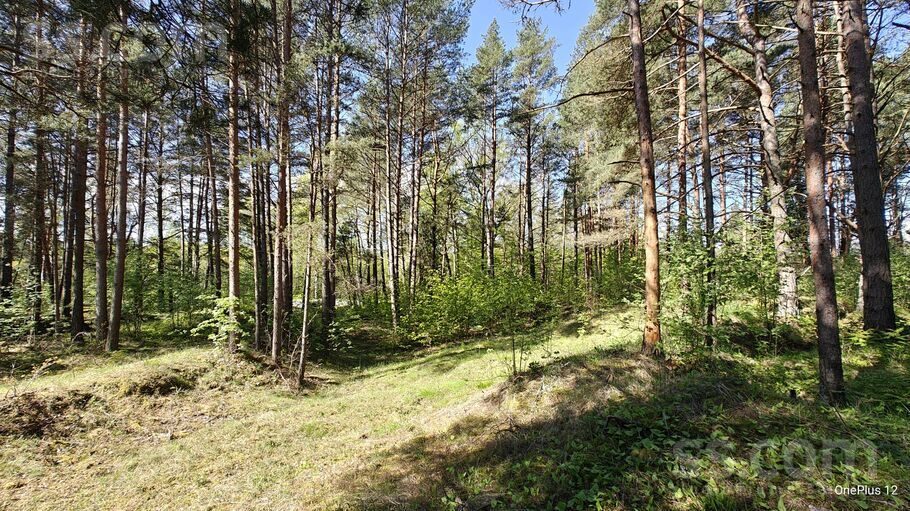 Ciema Vecā 1, Bigauņciems, Tukums un raj. — zeme