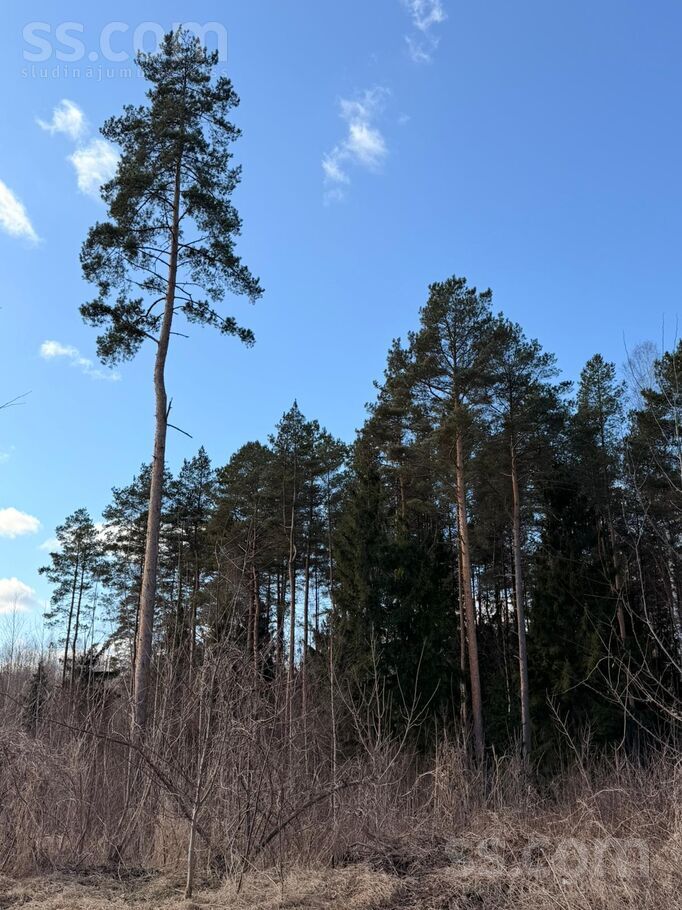 Sloku iela, Valmiera un raj., Valmiera — zeme