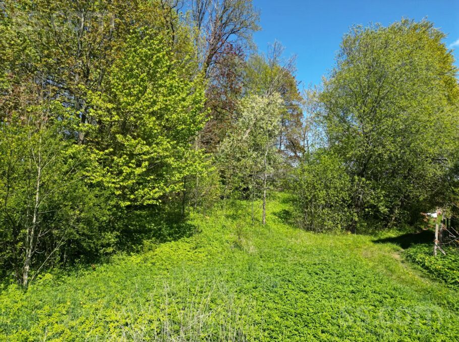 Dravnieki, Vecpils, Liepāja un raj., Vecpils pag. — zeme