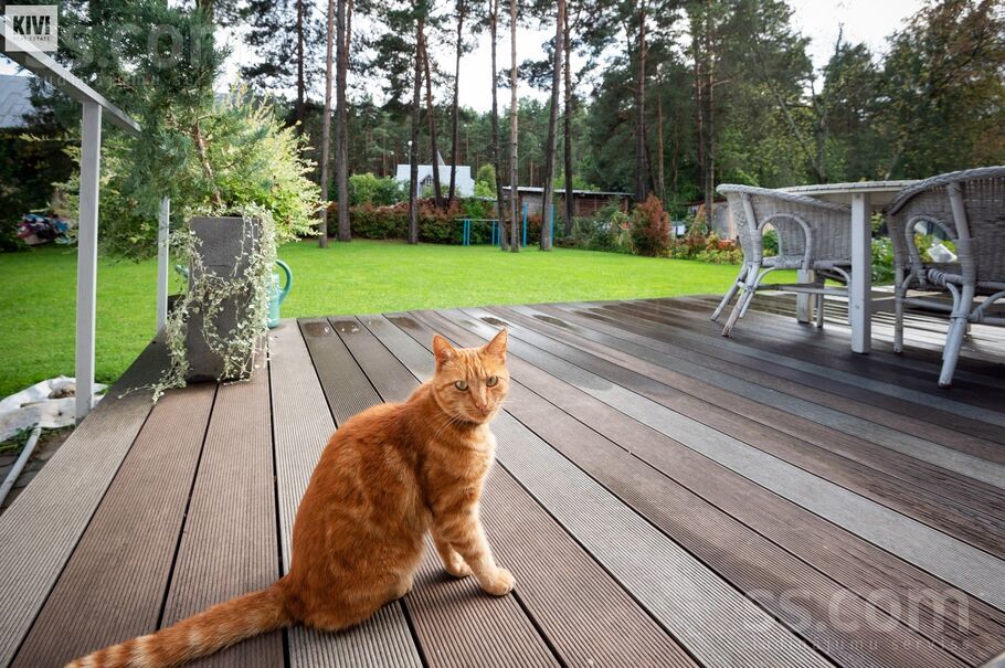 Žubītes iela, Jūrmala — maja