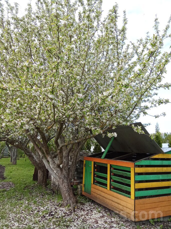 7-15, Liepāja un raj., Liepāja — maja