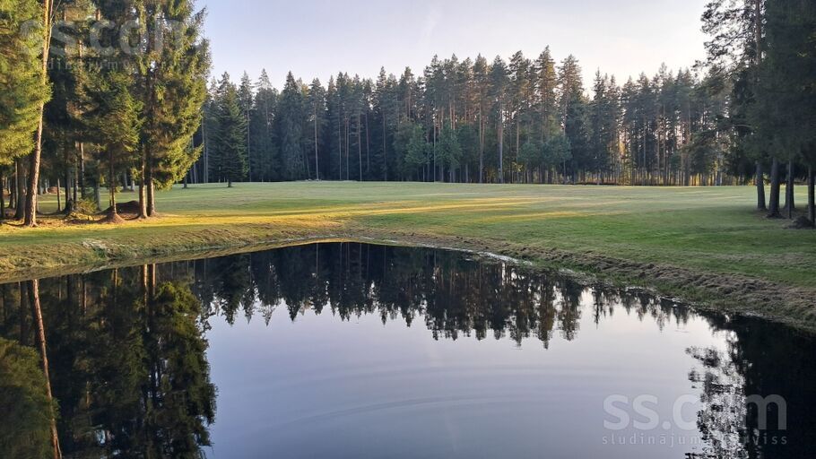 Daugmale, Rīgas rajons, Daugmales pag. — vienseta