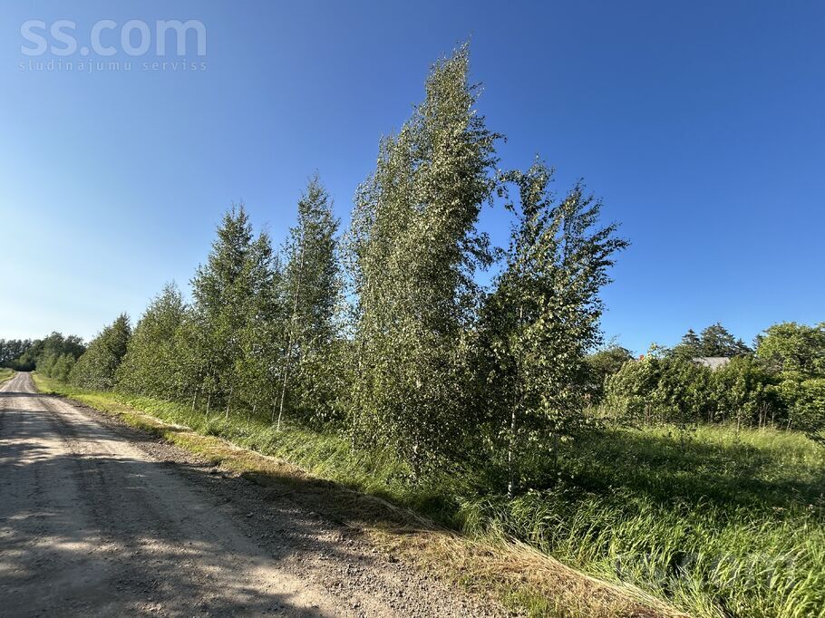 Liepāja un raj., Aizputes pag. — vienseta