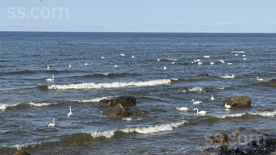 Upes 9a, Roja, Talsi un raj., Rojas pag. — zeme