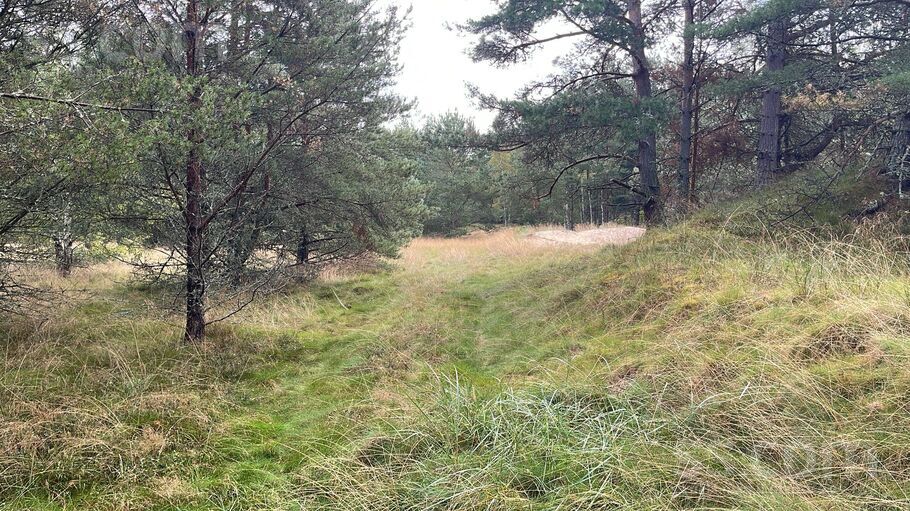 Lōrm nītõd, Sīkrags, Talsi un raj., Kolkas pag. — zeme