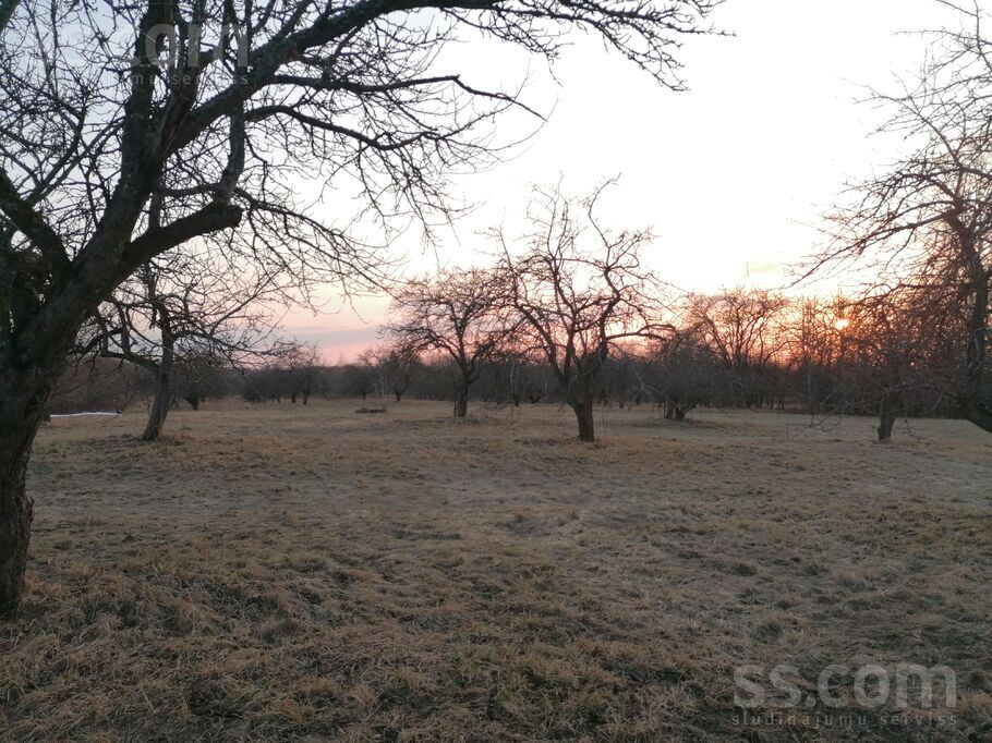 Randene, Randene, Daugavpils un raj., Kalkūnes pag. — zeme