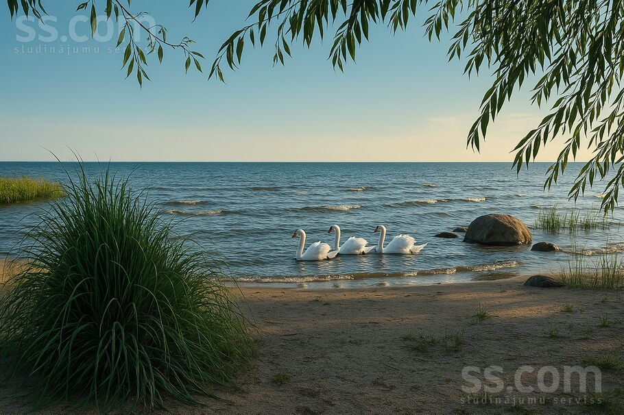 Priežu 26, Mērsrags, Talsi un raj., Mērsraga pag. — zeme