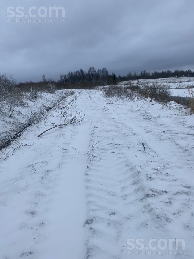 Biķernieki 1, Biķernieki, Daugavpils un raj., Biķernieku pag. — zeme