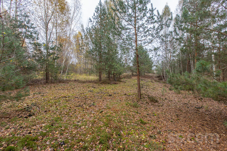 Rīta ceļš 4, Medemciems, Rīgas rajons, Olaines pag. — zeme