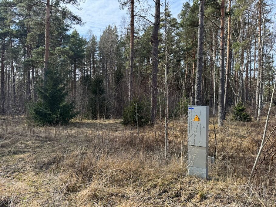 Zeltenes iela 14, Liepāja un raj., Pāvilosta — zeme