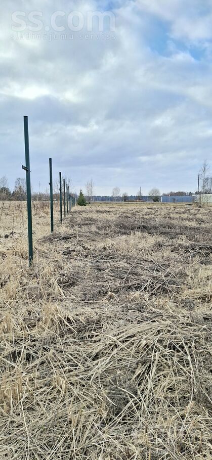 Ievu 4, Inčukalns, Rīgas rajons, Inčukalna nov. — zeme