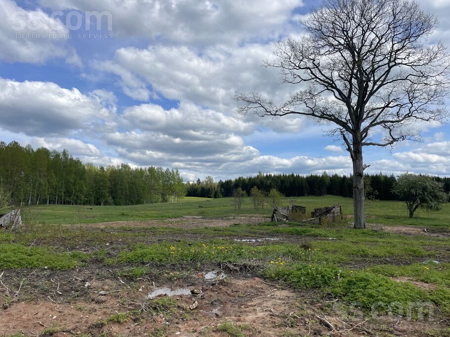 Lejaslāčplēši, Cēsis un raj., Jaunpiebalgas pag. — zeme