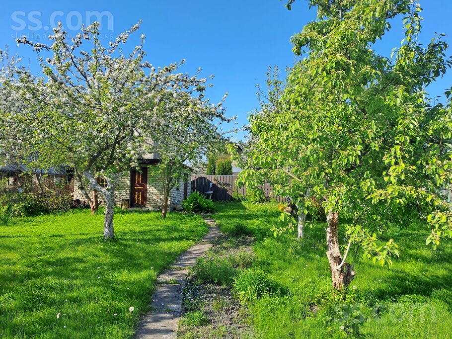 Astotā 29, Šķēde, Liepāja un raj., Medzes pag. — maja