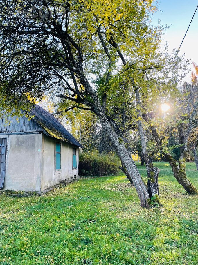 Eglītes, Pēternieki, Rīgas rajons, Olaines pag. — zeme