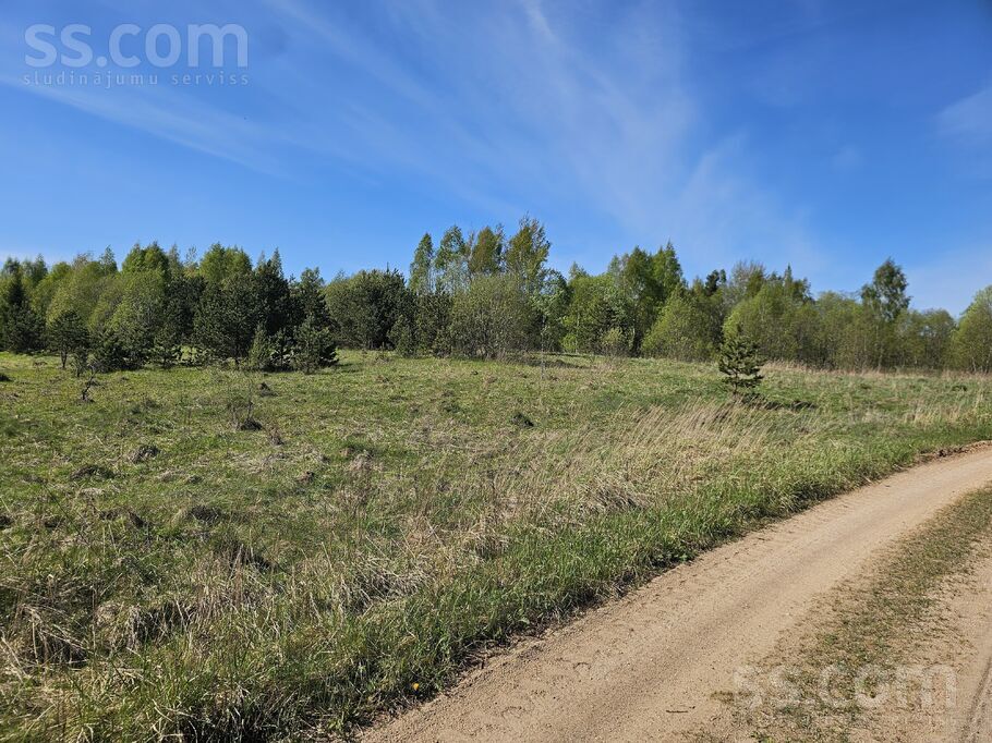 Ūzuliški, Rēzekne un raj., Lūznavas pag. — vienseta