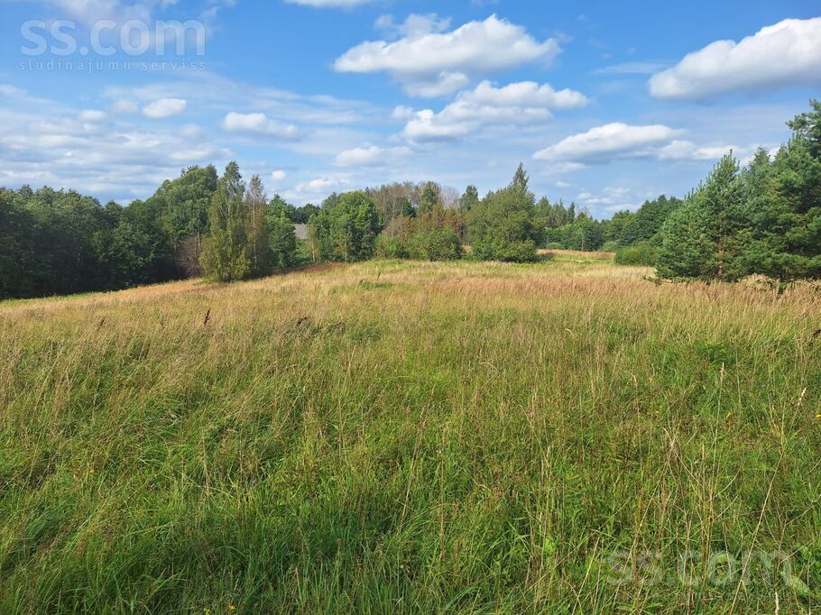 Kurmas sādžas viensē, Ludza un raj., Pildas pag. — zeme
