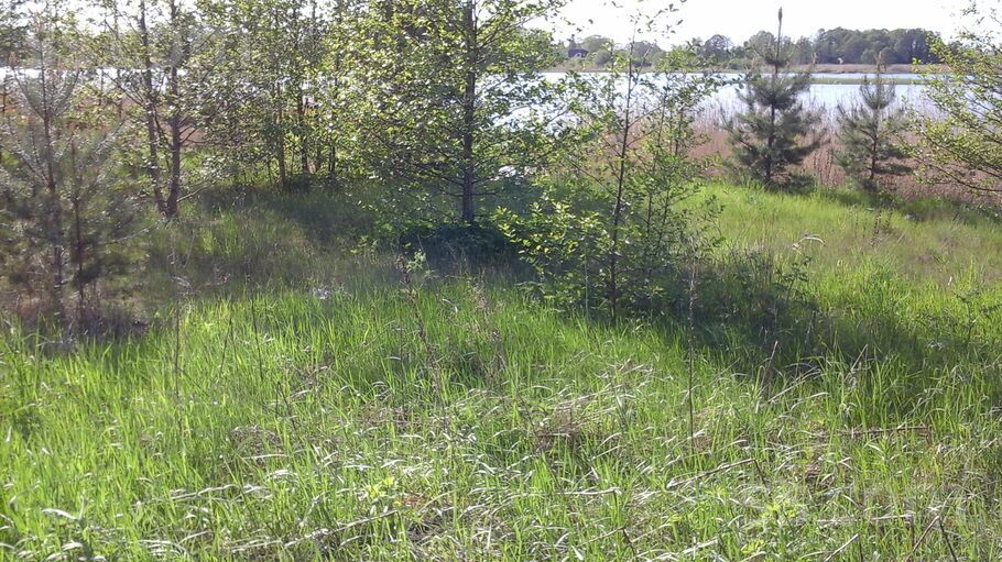 Saules, Gātciems, Rīgas rajons, Salas pag. — zeme