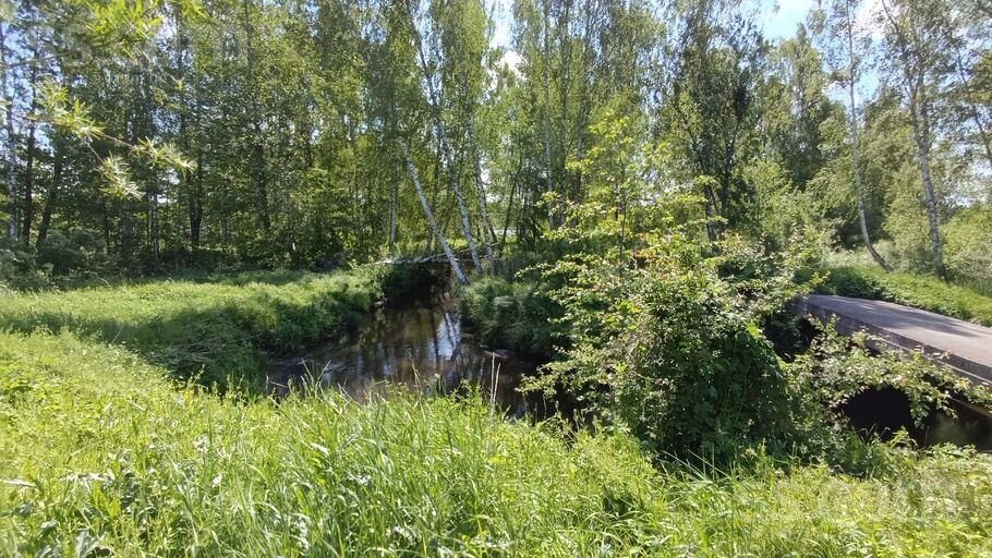 Sienāžu 1, Jūrmala — zeme