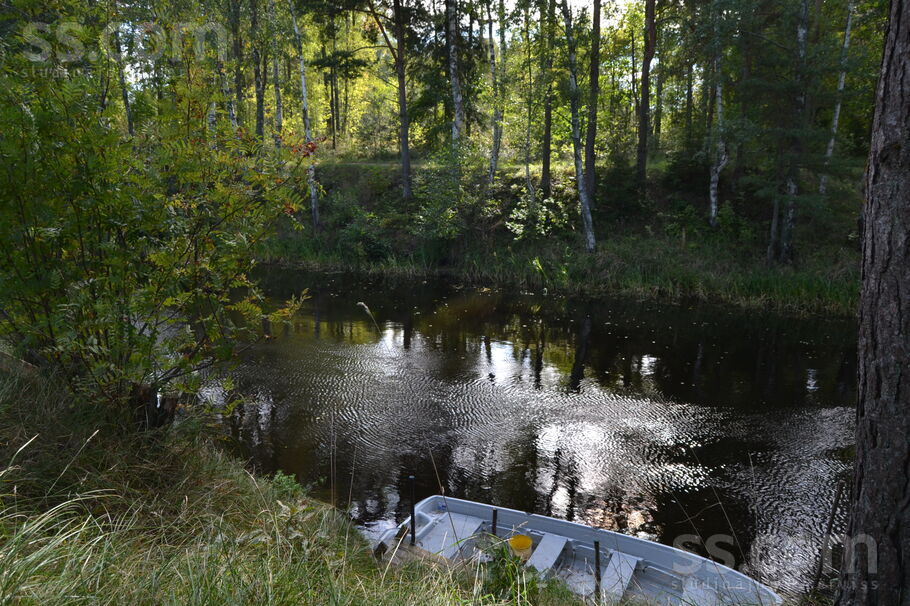 Vēju 20, Mērsrags, Talsi un raj., Mērsraga pag. — zeme