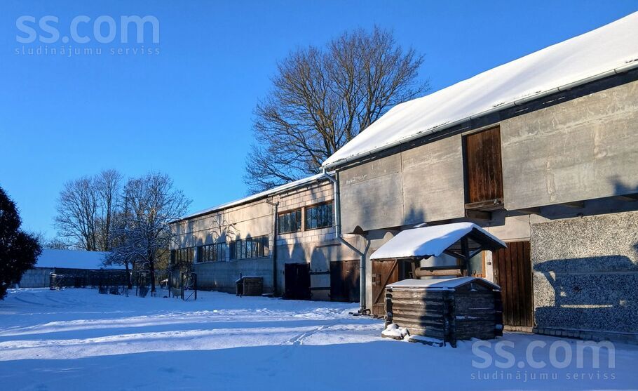 Viesturi, Bauska un raj., Viesturu pag. — vienseta