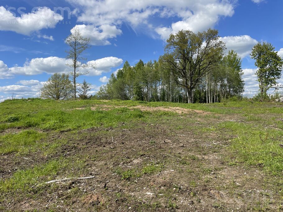 Lejaslāčplēši, Cēsis un raj., Jaunpiebalgas pag. — zeme