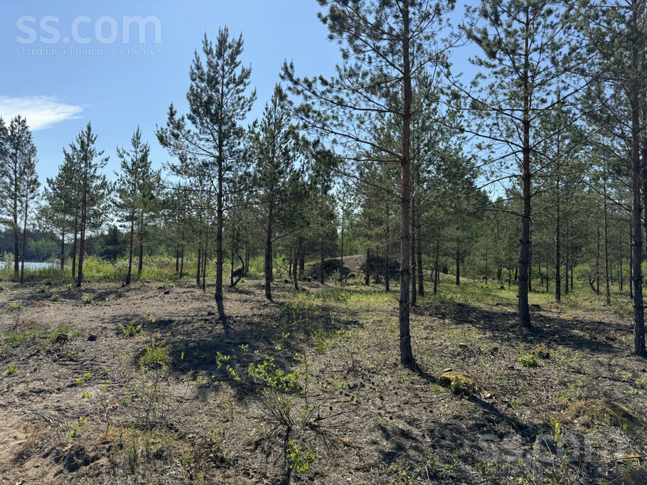 Gramzda, Gramzda, Liepāja un raj., Gramzdas pag. — zeme