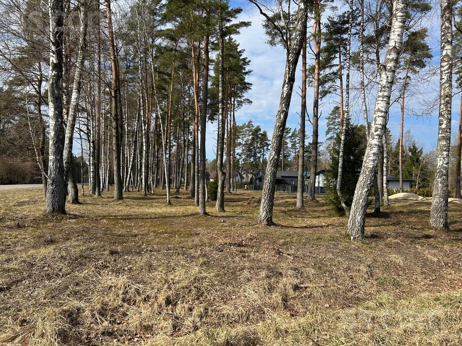 Sedolu iela 1, Jaunmārupe, Rīgas rajons, Mārupes pag. — zeme