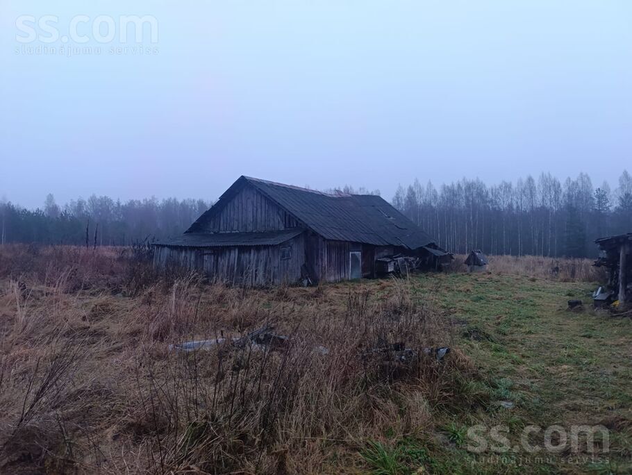 Zamšoviki, Krāslava un raj., Šķaunes pag. — vienseta