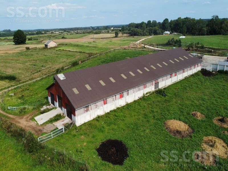 Kalna pupoli, Šengeida, Daugavpils un raj., Skrudalienas pag. — telpa