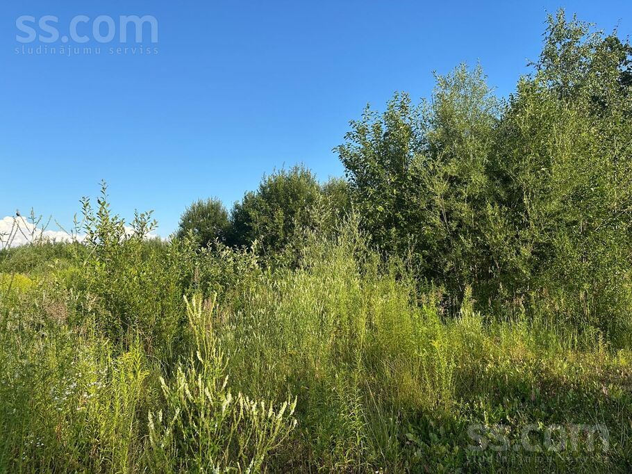 Svīķu iela 1, Pārolaine, Rīgas rajons, Olaines pag. — zeme